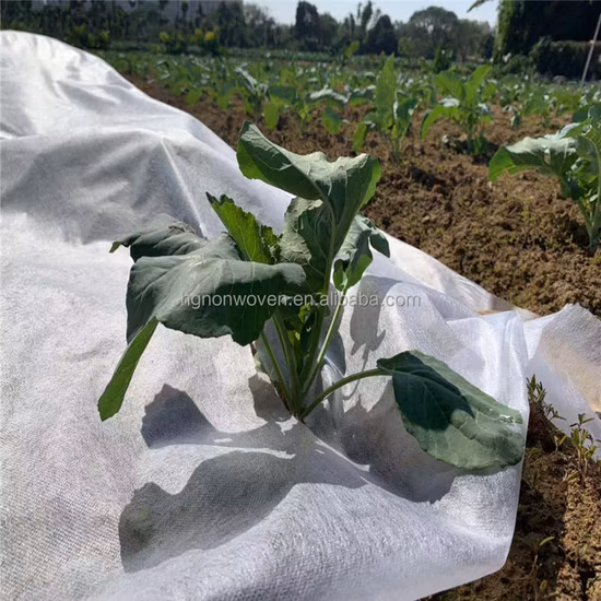 Tecido de piso de madeira verdadeira de prancha boa por atacado de fábrica D